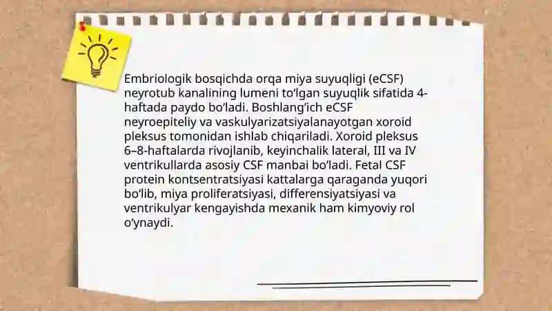 Orqa miya suyuqligi 3