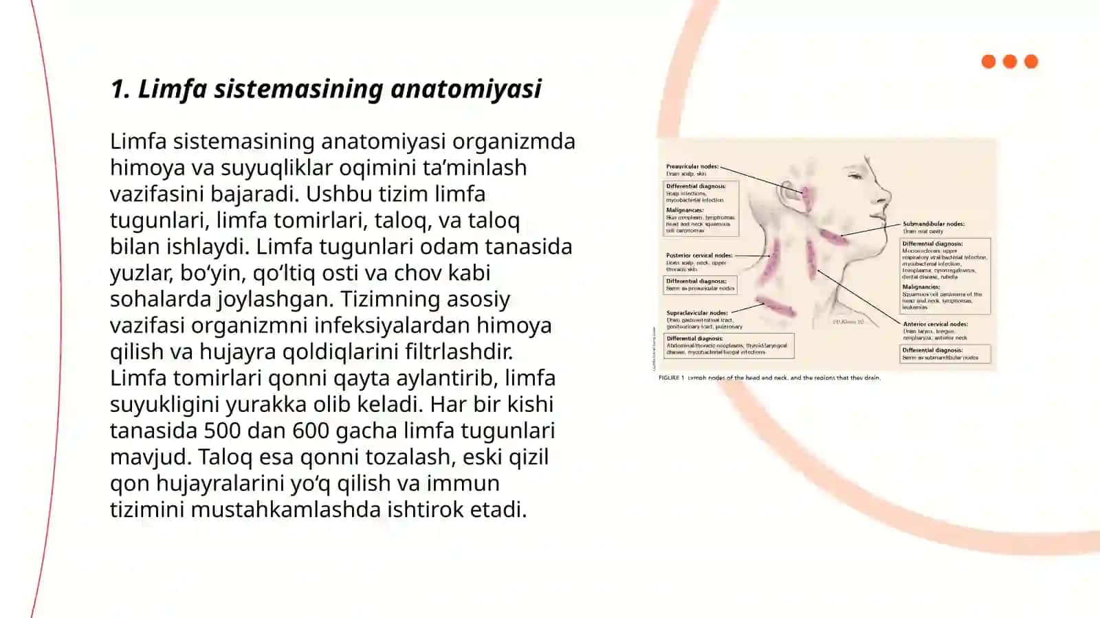 Limfa sistemasi va uning tanaga xos jihatlari 3