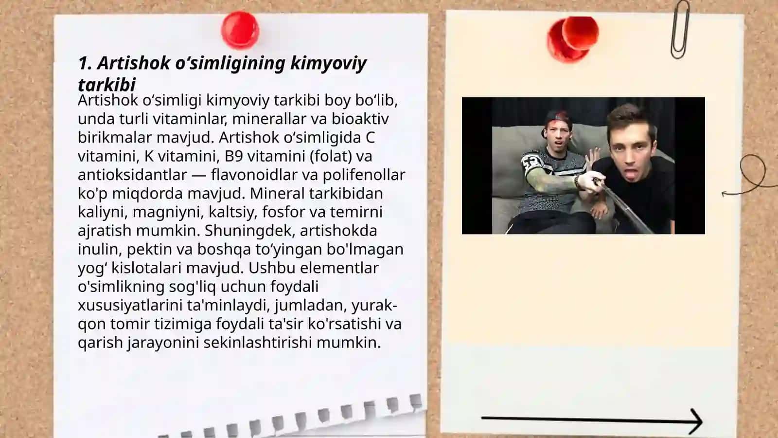 Artishok oʻsimligi kimyoviy tarkibi 3