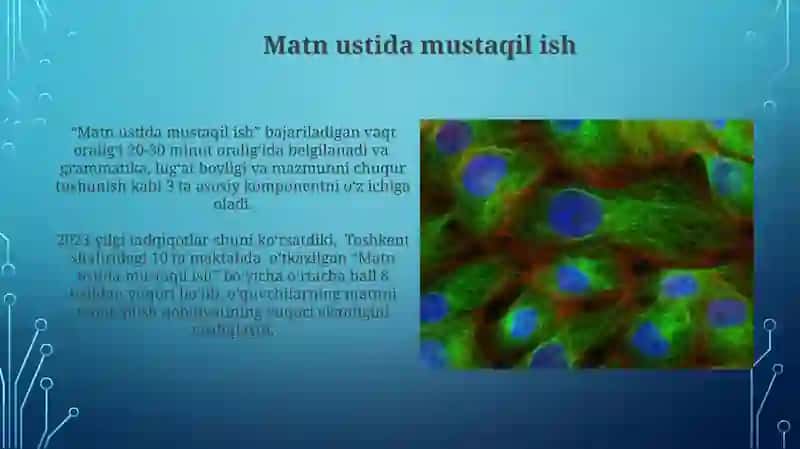Matn ustida mustaqil ish 3