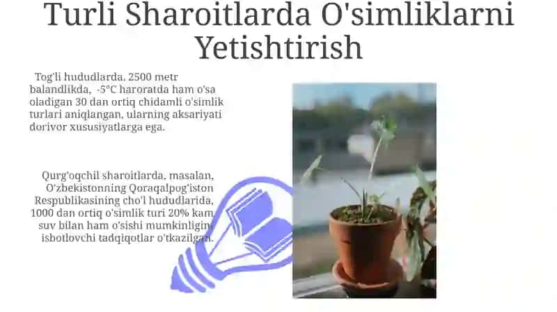 O'simliklarning Muhitga Moslashuvi 3