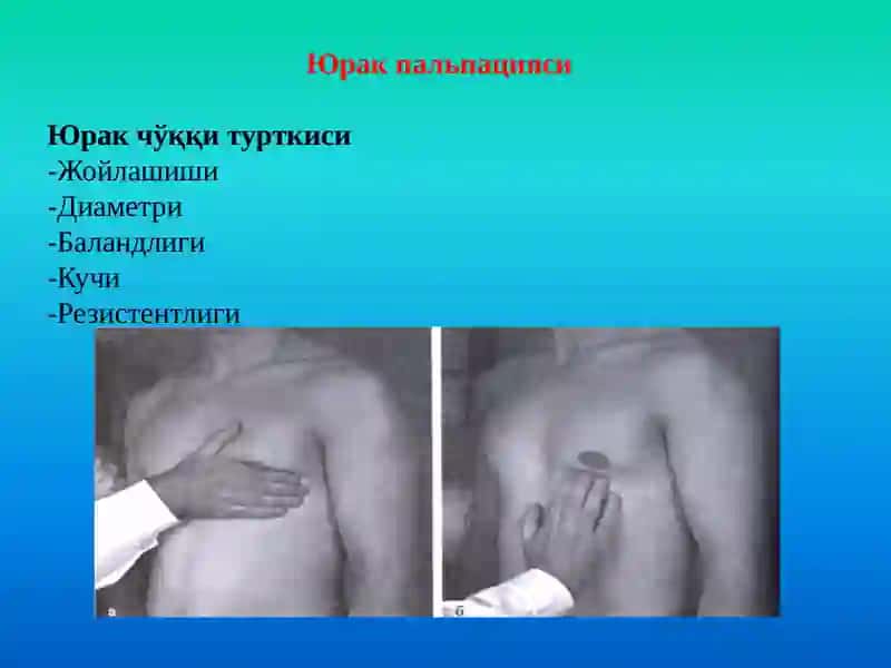 Юрак-қонтомир тизими 3