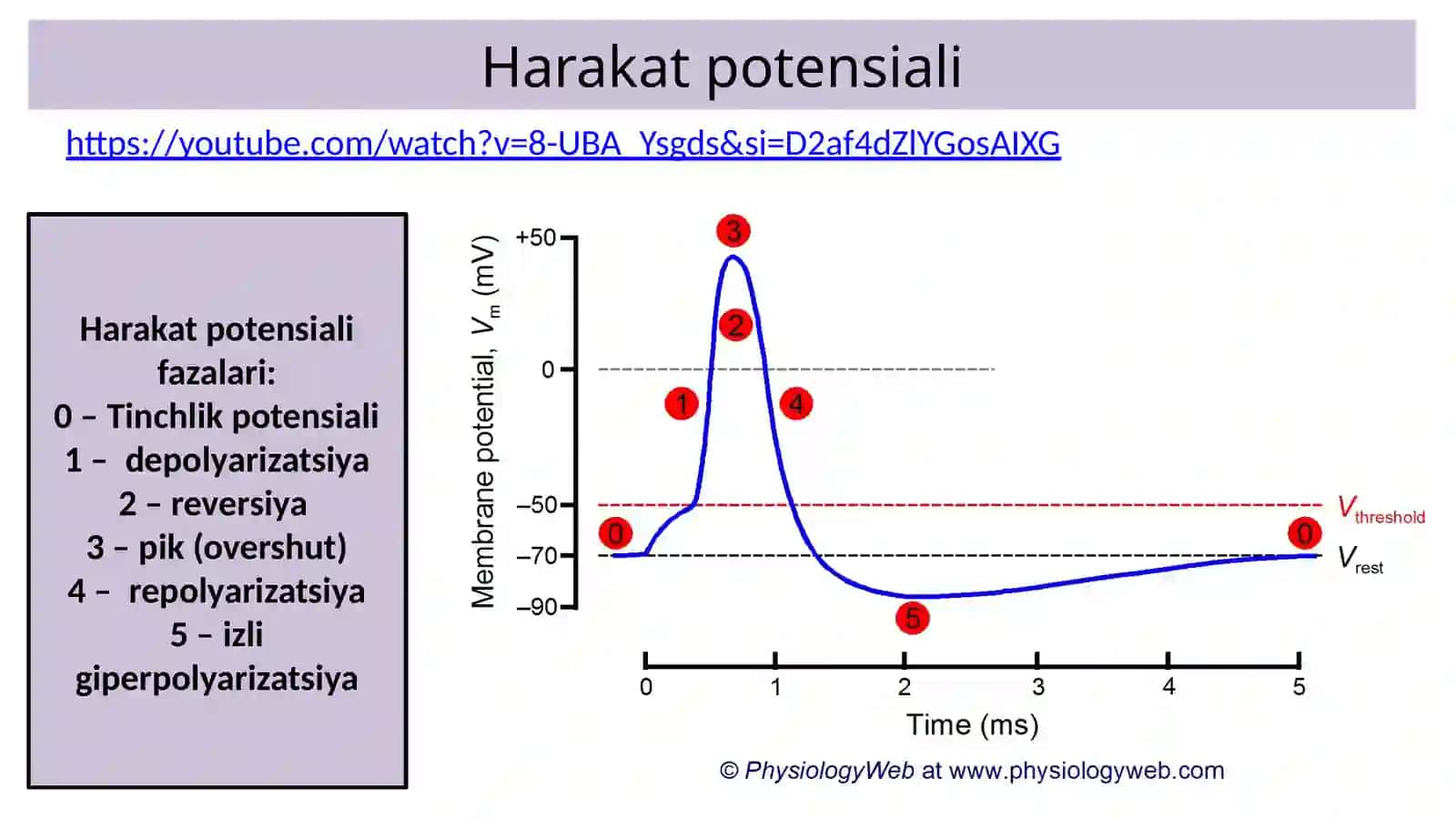 Nervtolasi 3
