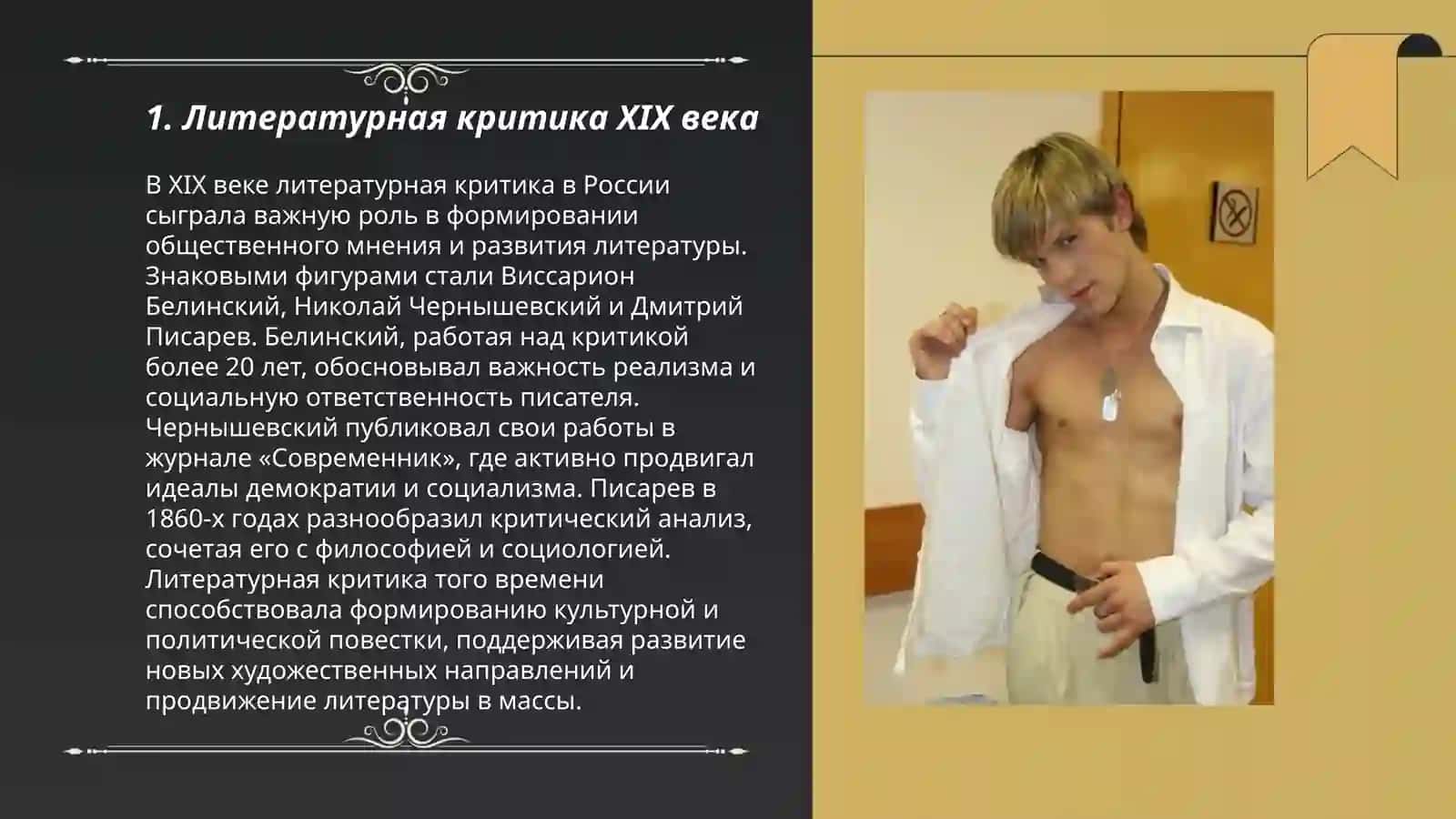 Критика XIX в. Дмитрий Иванович Писарев 3