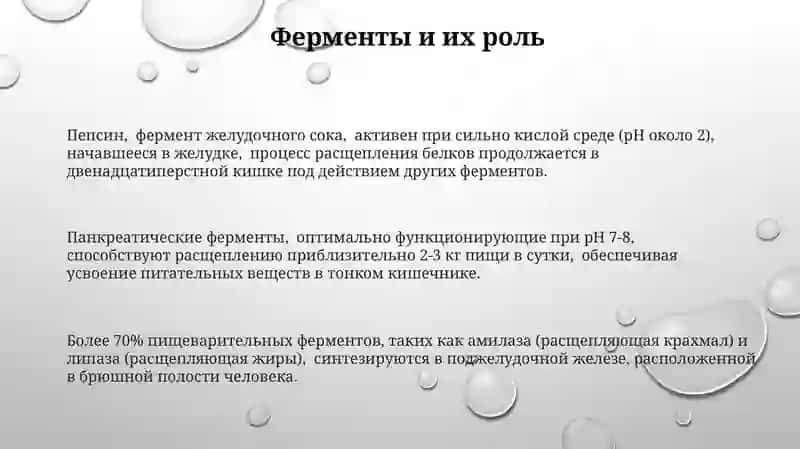 Система пищеварения 3