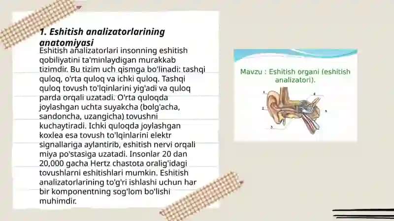 Eshitish analizatorlari 3