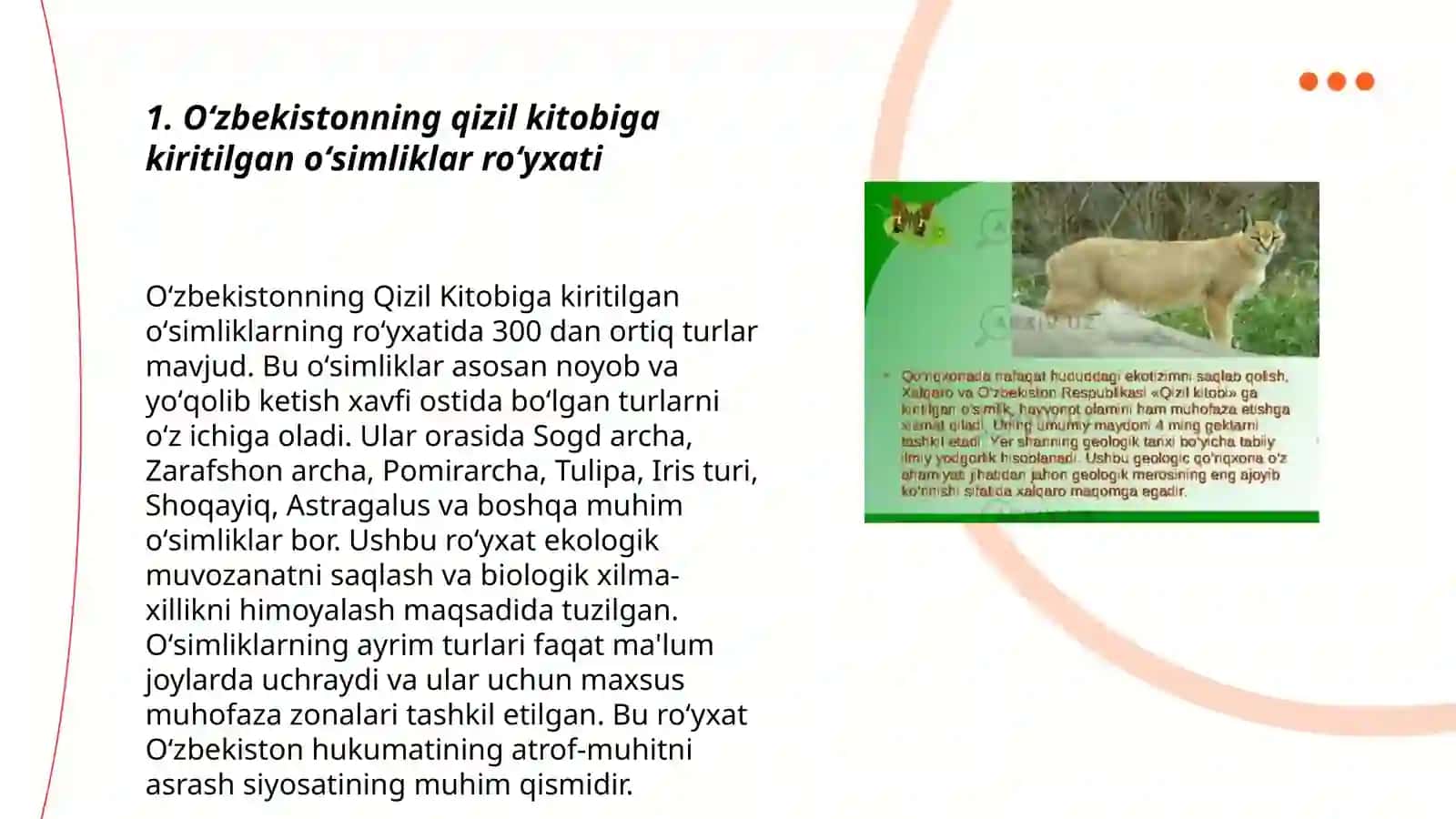Mustaqil ish 3