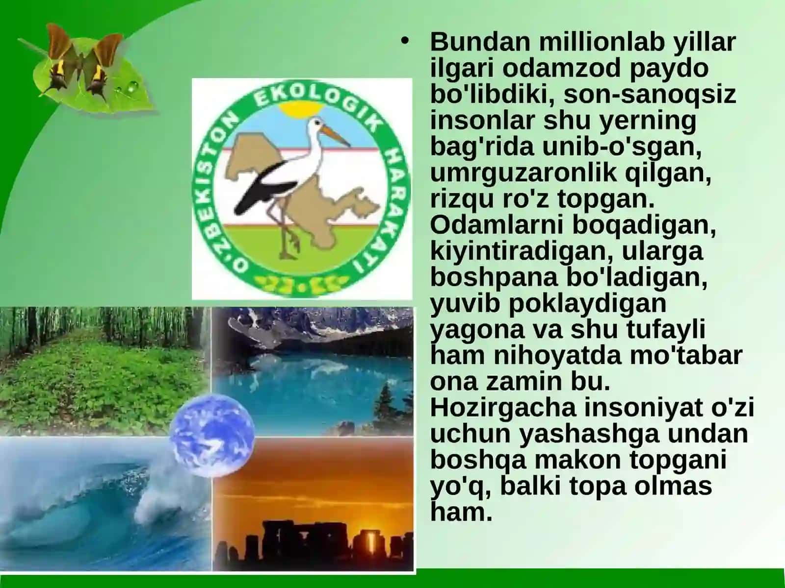 Ekologik tarbiya,ta’lim va madaniyat 3