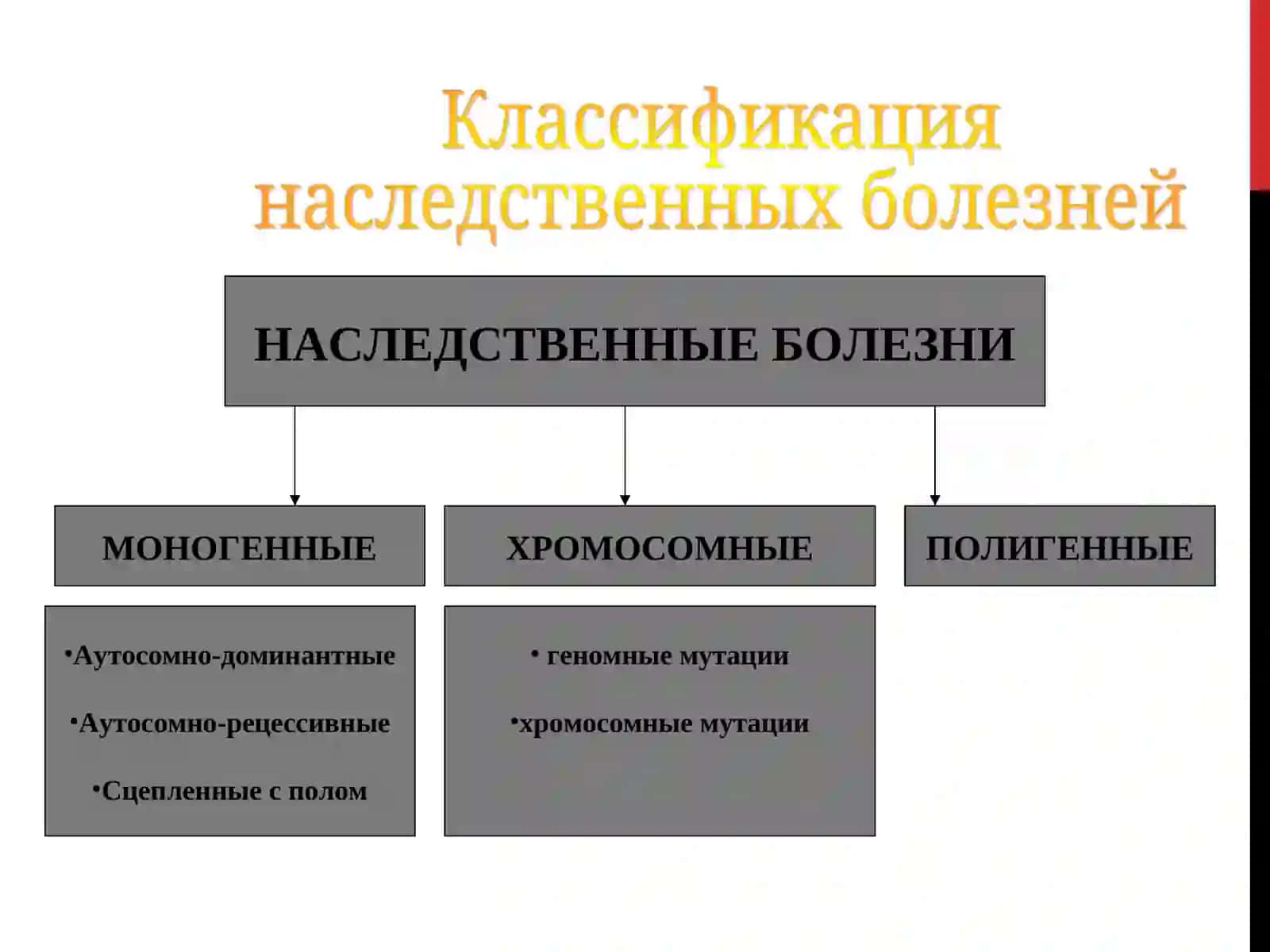 Наследственные болезни 3