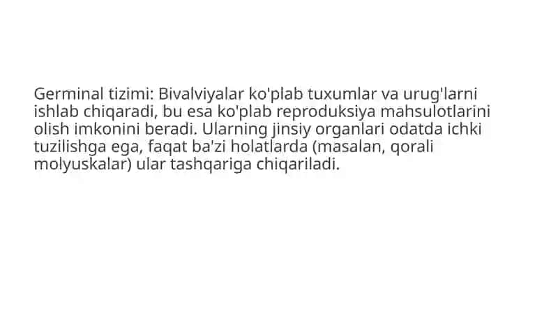 Ikki pallali molyuskalar (Bivalvia) 3