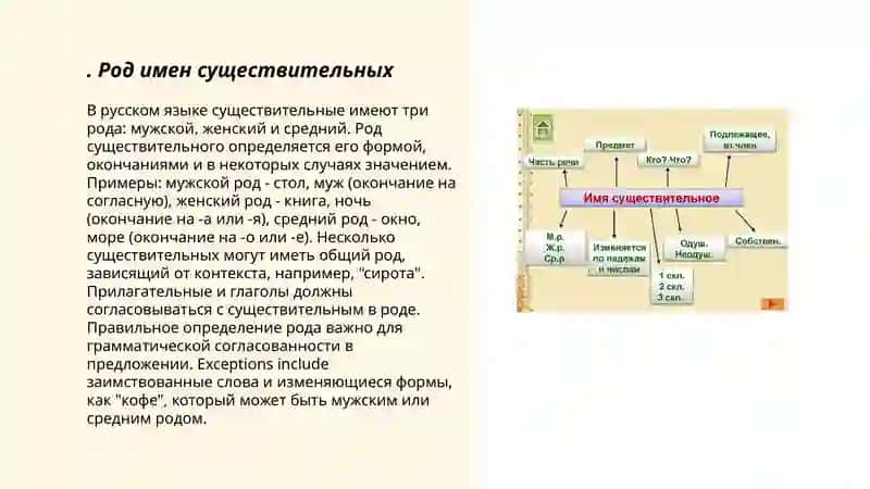 Род имен существительных 3