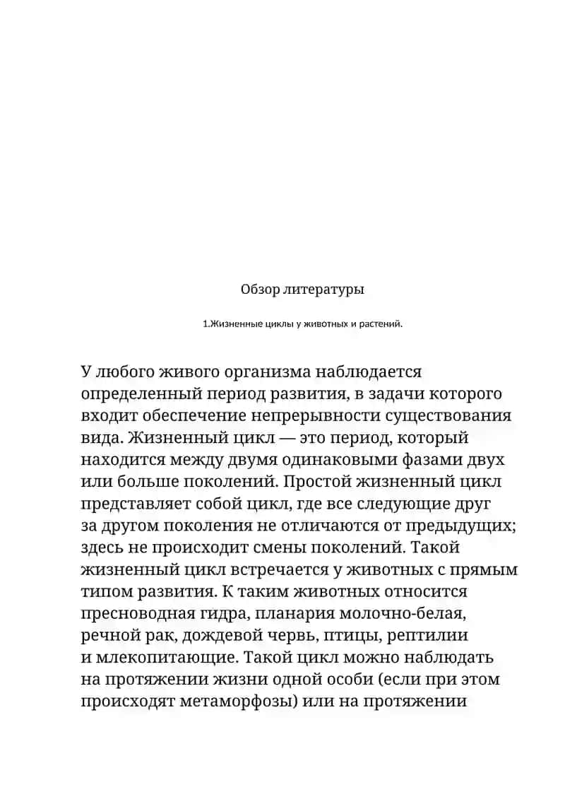 Жизненный цикл 3