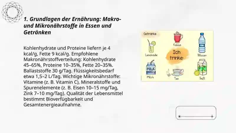 Essen und Getränke( gemeinsam Informationen) 3
