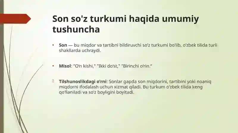 SON SO’Z TURKUMI SONNING MA’NO TURLARI 3
