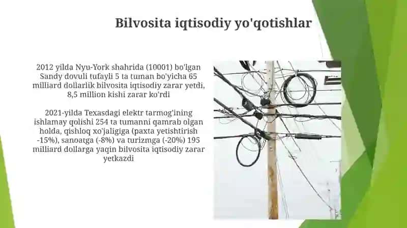 Iqtisodiy zararlar 3
