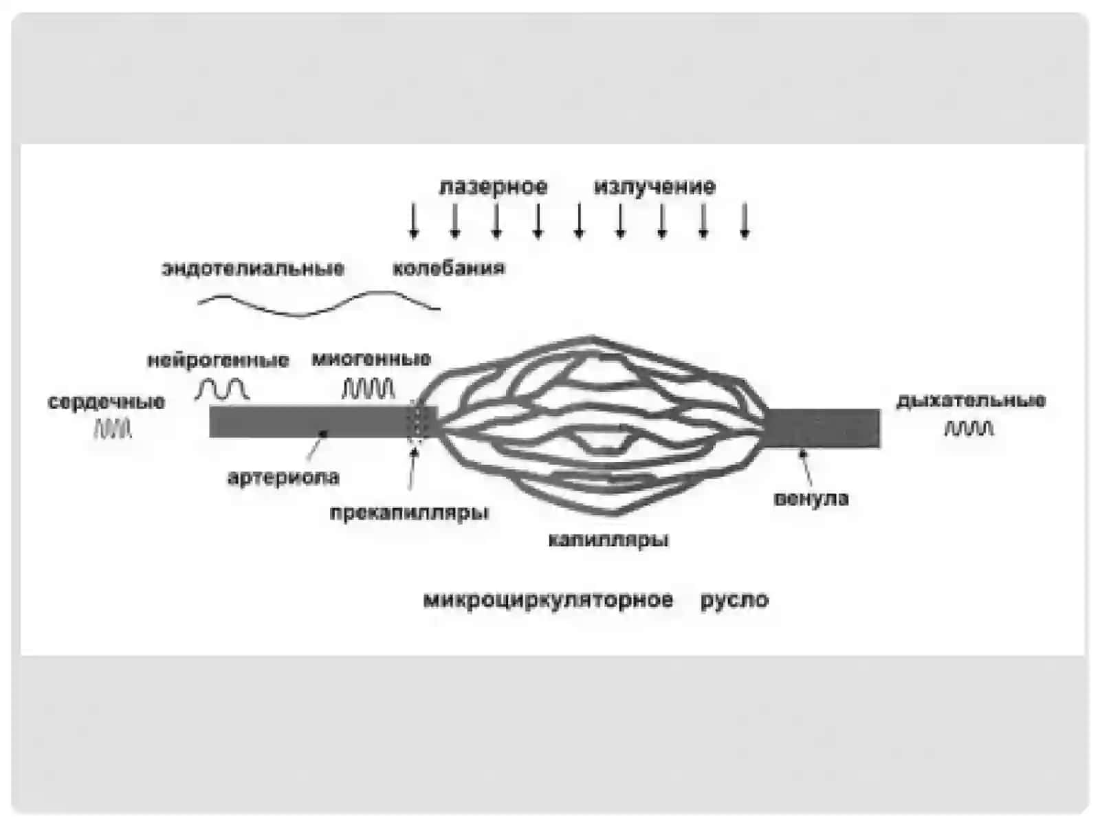 STOMATOLOGIYADA LAZER TERAPIYASI 3
