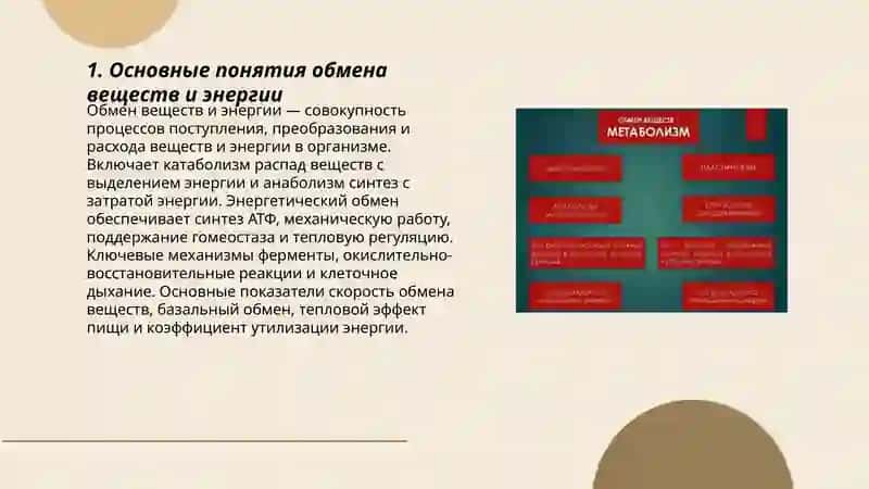 Обмен веществ и энергии 3