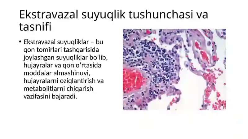 Organizmning ekstravazal suyuqliklari 3
