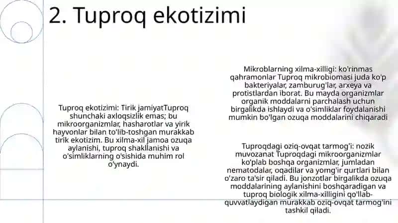 Tuproq Muhitining Mikroorganizmlari 3