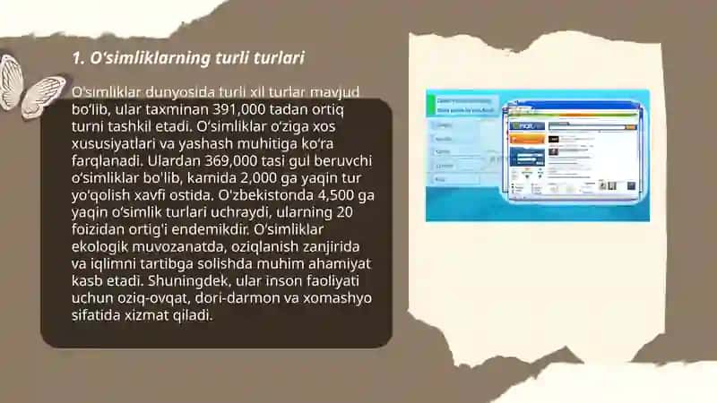 Oʻsimlik haqida malumot 10ta 3