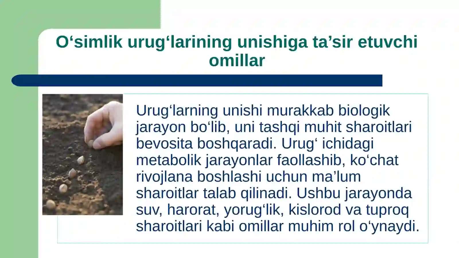 O'simlik urug'larining unishiga tashqi muhit omillarining ta’sirini o'rganish 3