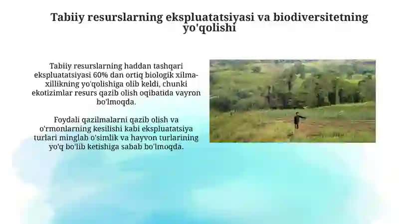 Insonning tabiatga ta'sirining oqibatlari 3