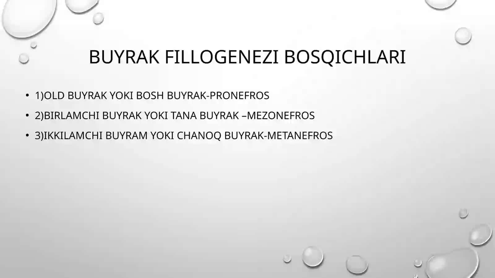 Ayiruv sistemasi ontofilogenezi 3