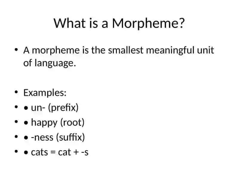 The Morphological Structure of English 3