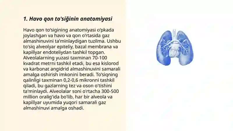Havo qon to'siğining anatomiyasi 3