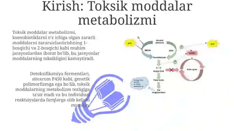 Zaharli moddalarning organizmdagi metabolizmi 3