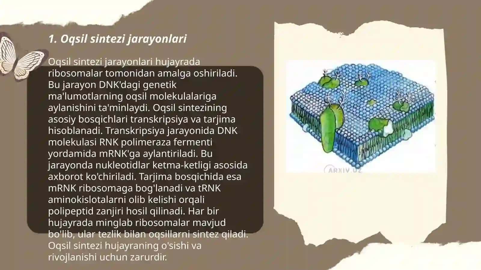 Oqsil biosintez jarayonlar 3