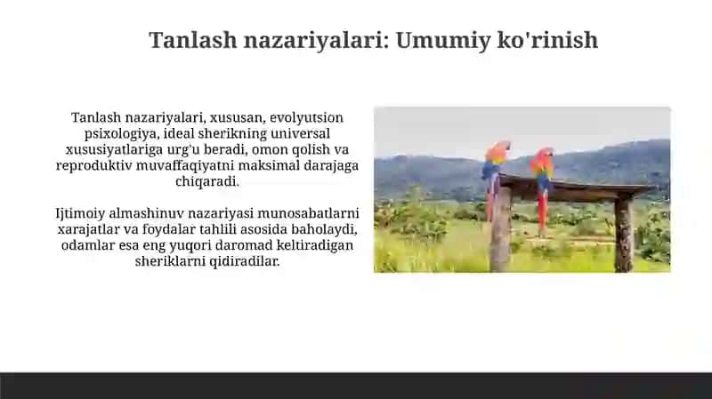 Umr yoʻldoshinitanlashnazariyalari 3