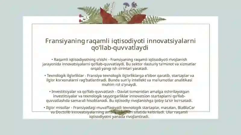 Fransiyaning raqamli iqtisodiyoti 3