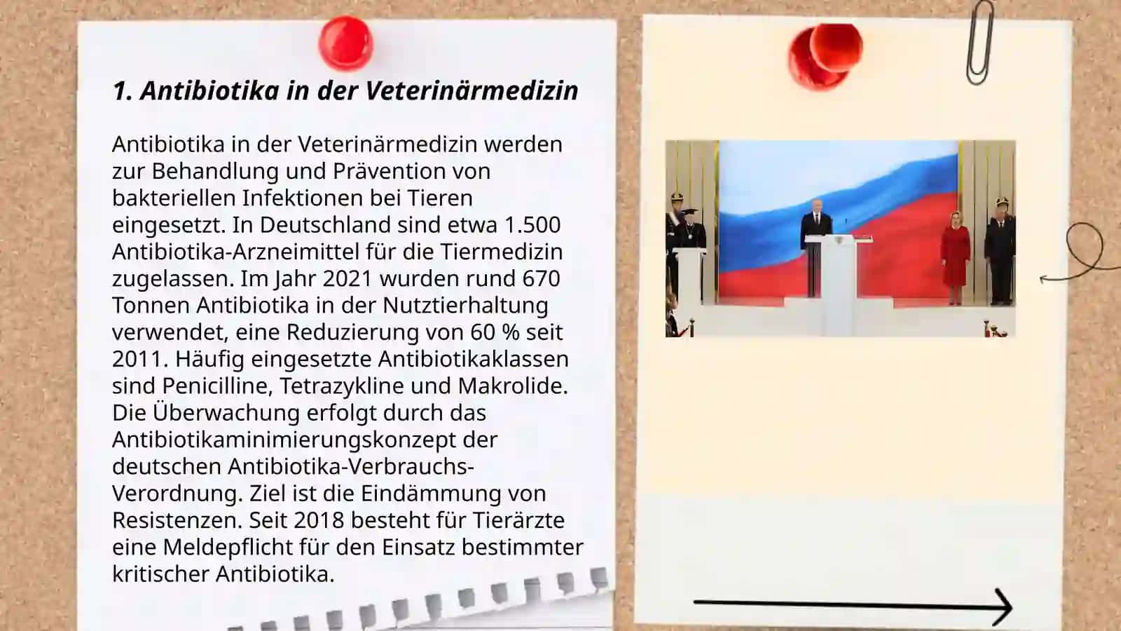 Antibiotika in der Veterinärmedizin 3