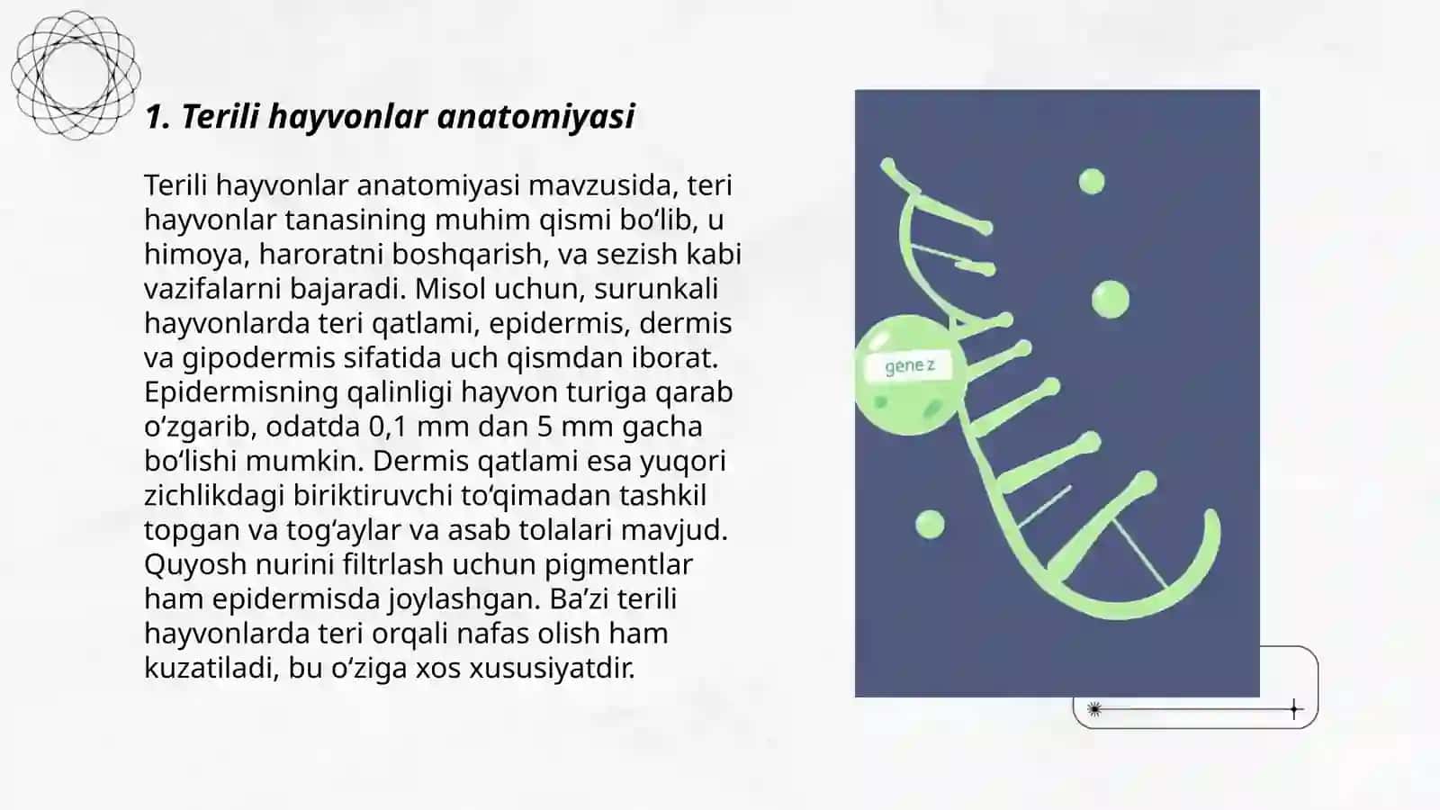 Terili hayvonlar anatomiyasi 3