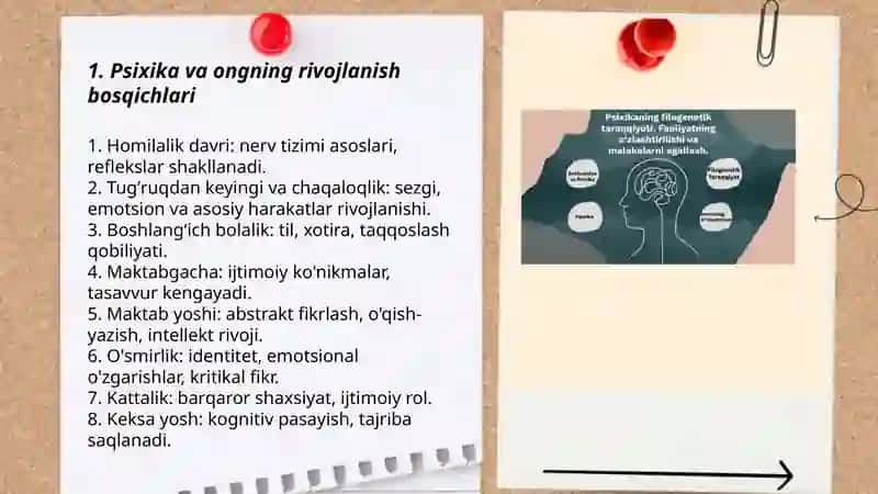 Psixika va ongning taraqqiyoti 3