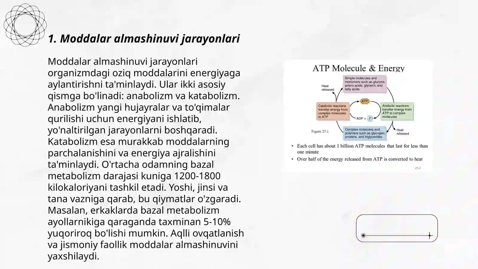 Modda va energiya almashinuvi fiziologiyasi 3