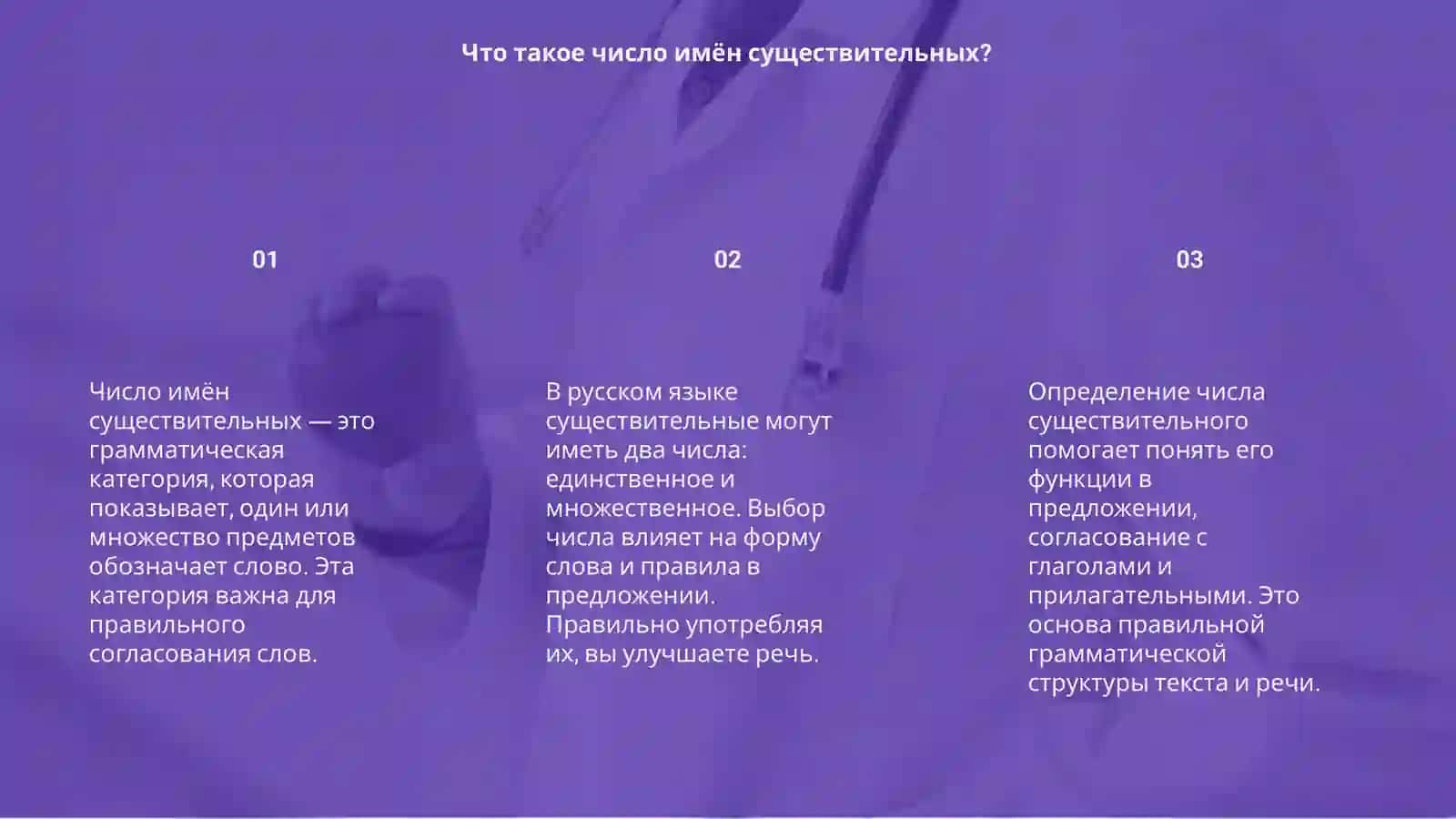 Число имён существительных 3