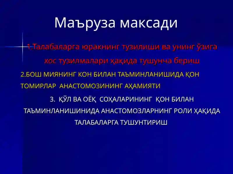 Юрак тузилиши 3
