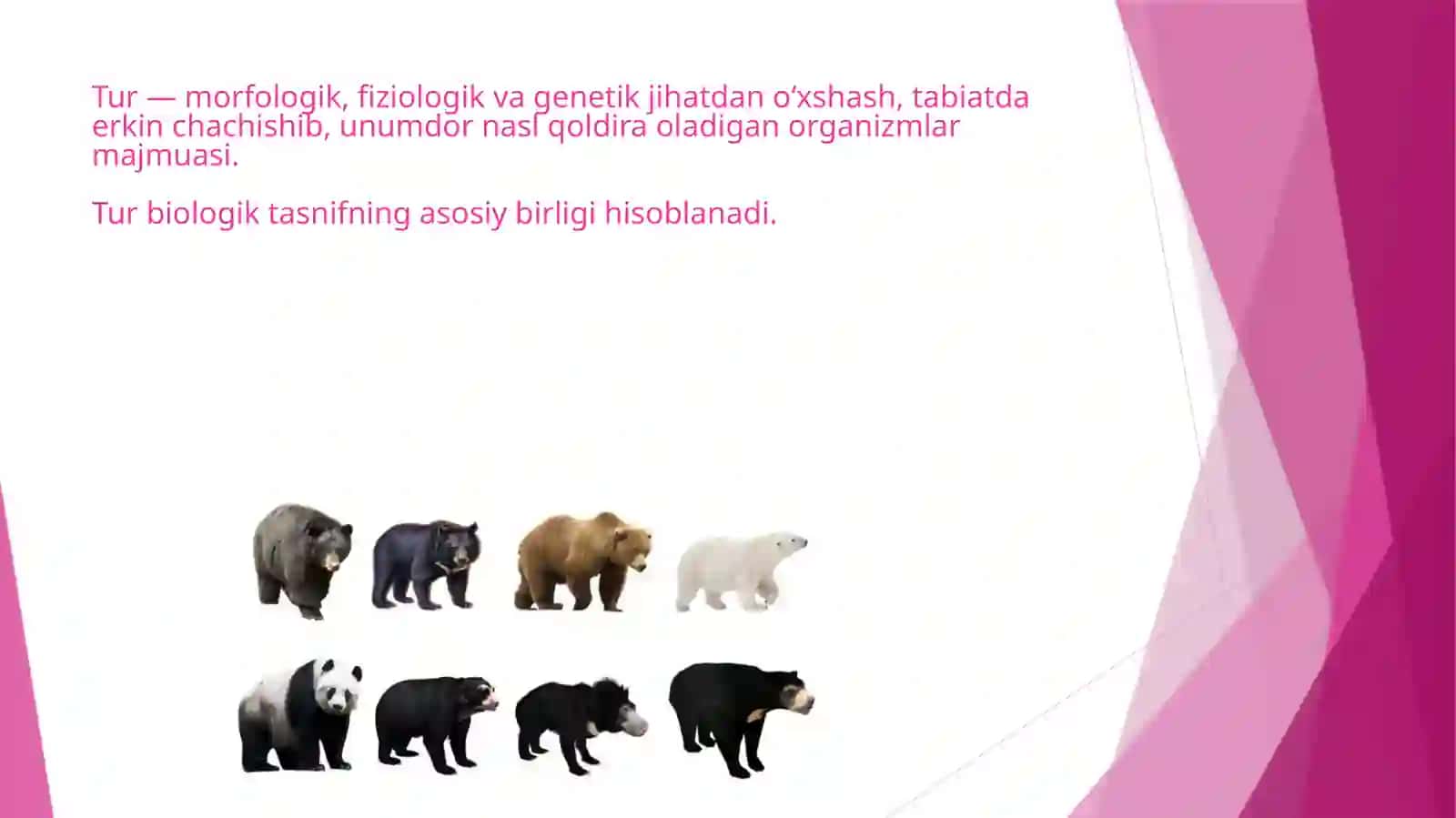 Biologiya sirtqi ta’lim yo`nalishi 3