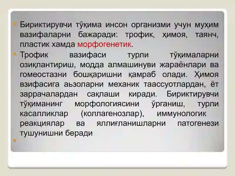 Бириктирувчи тўқима 3