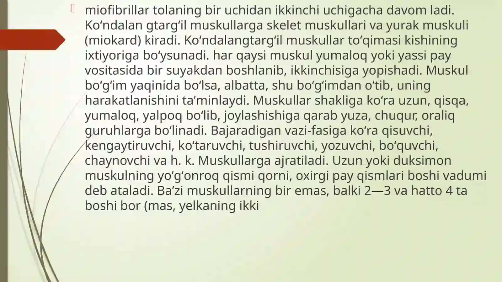 Muskullar faoliyati va bolaning jismoniy imkoniyatlari 3