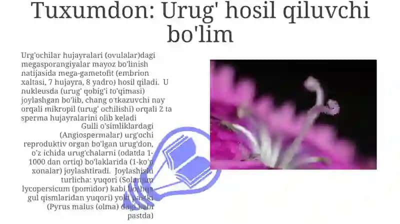 Floral organs (Gul organlari) 3