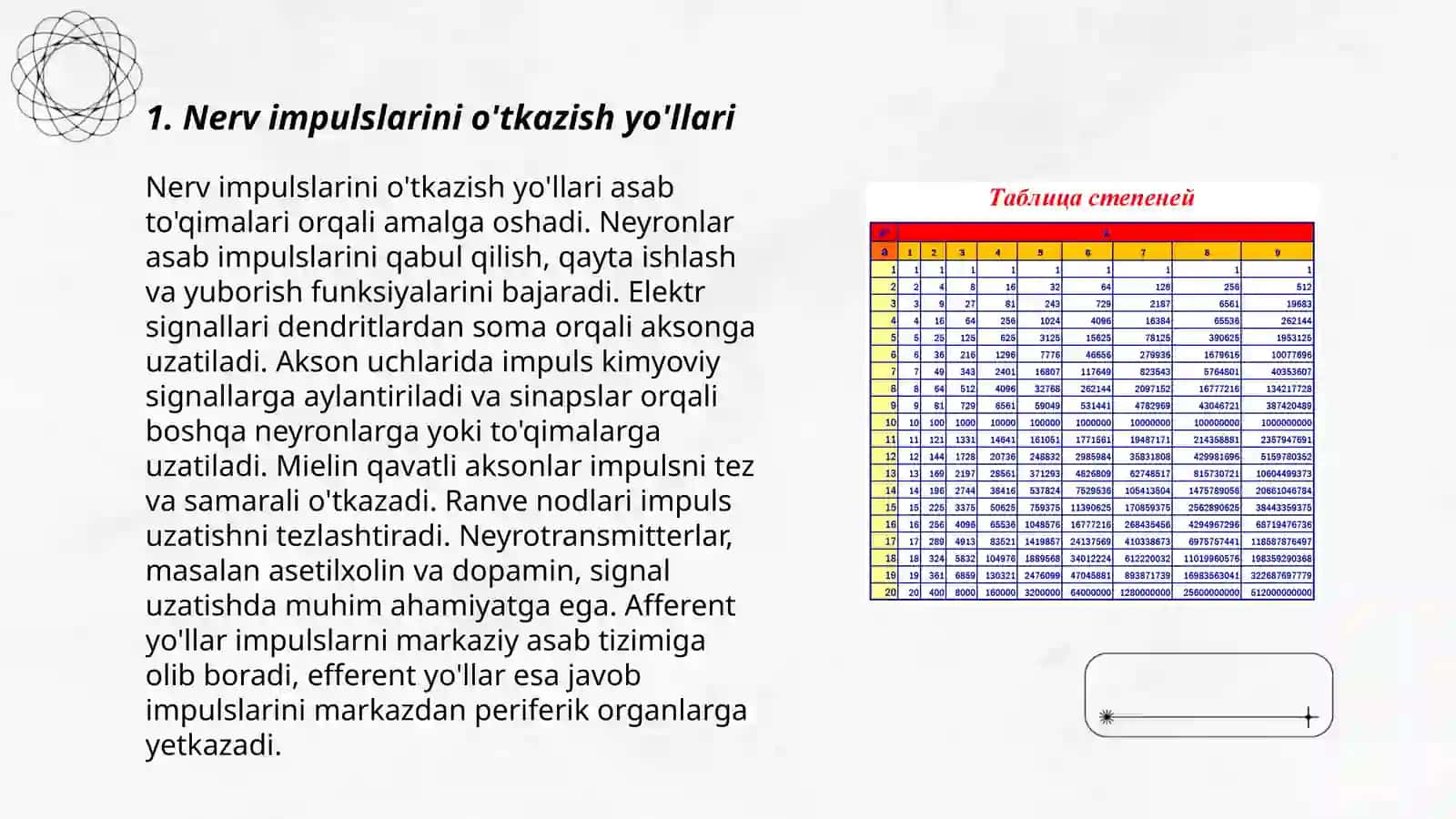 Bosh va orqa miya o'tkazuv yo'llari 3
