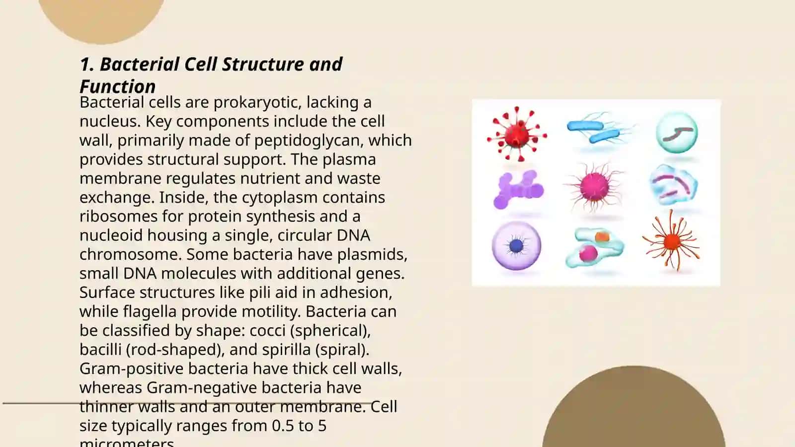 Microorganisms and Microbiology 3