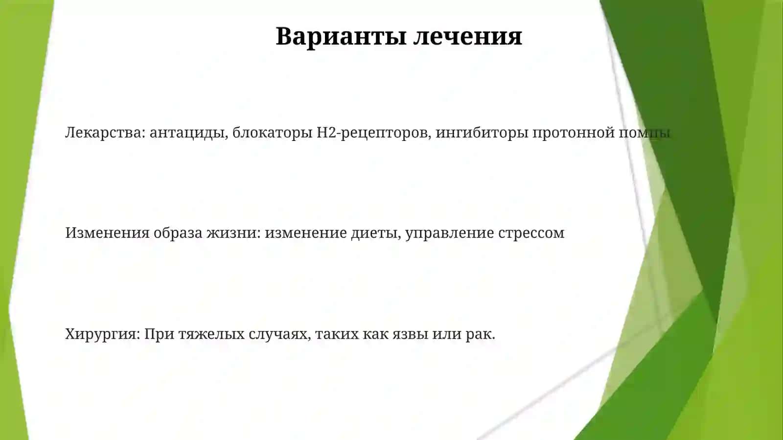 Желудок 3