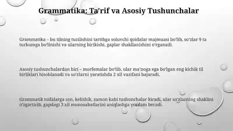 Grammatika strukturaini o’rganuvchi soha sifatida 3
