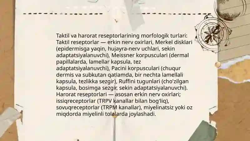 Taktil va harorat retsrepsiyalari 3