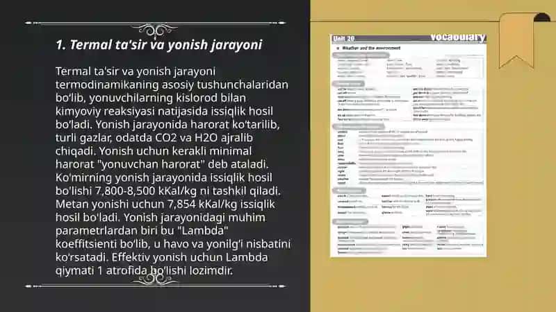 Termal ta'sir va yonish jarayoni 3