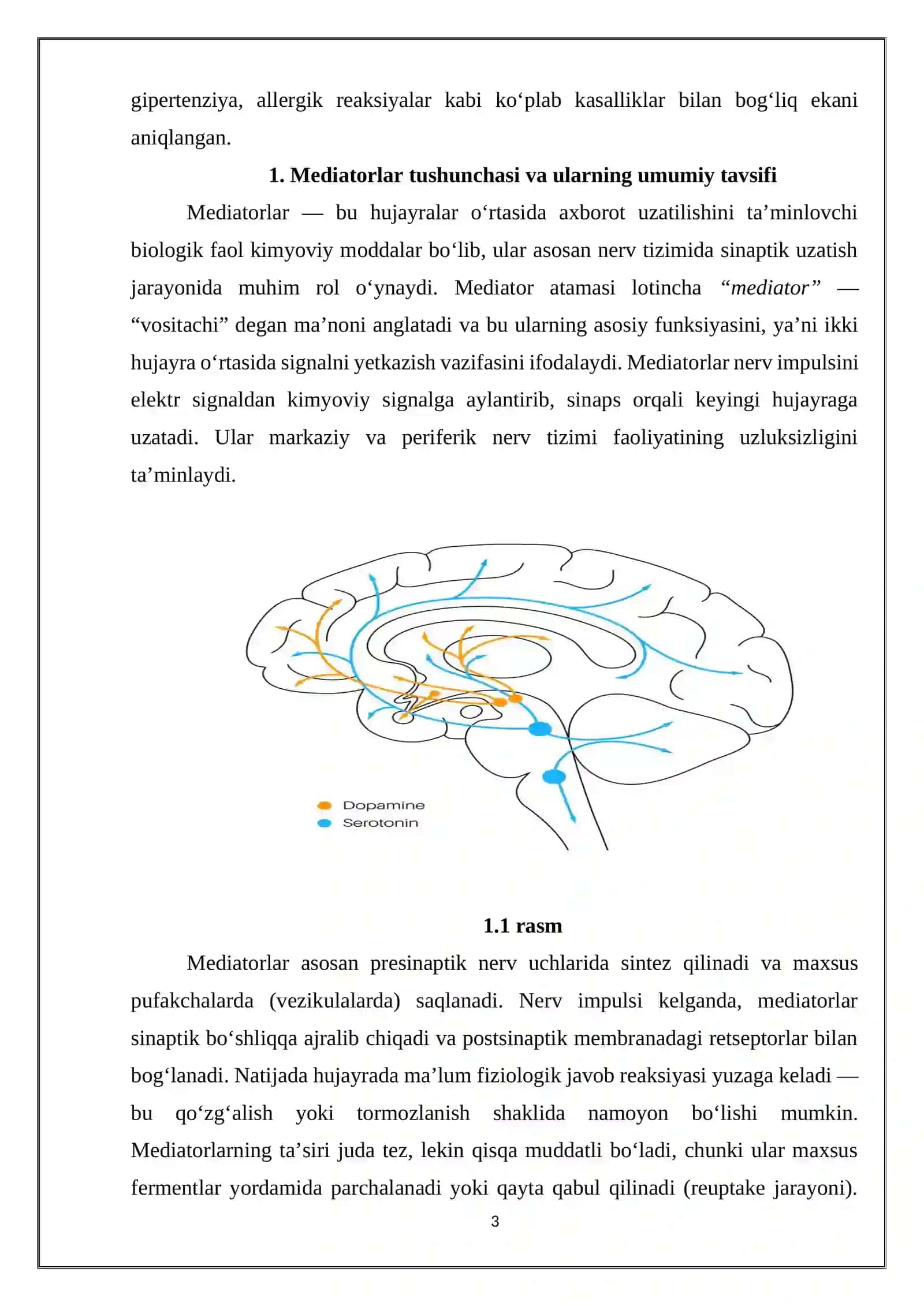 Mediatorlar. Mediatorlarning lokalizatsiyasi 3